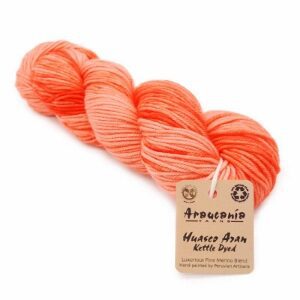 Araucania Huasco Aran Kettle Dyed yarn